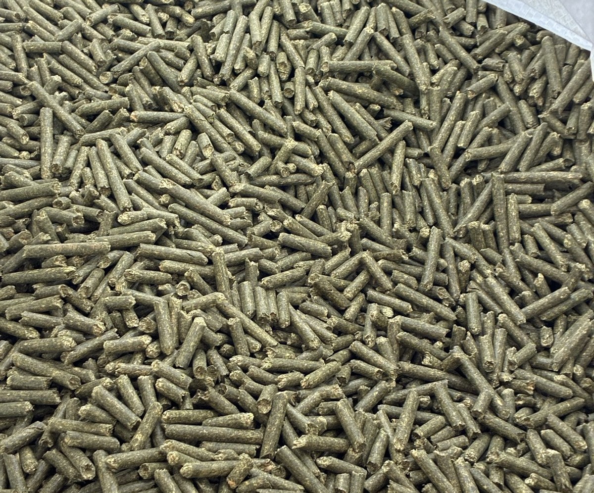 Alfalfa Pellets